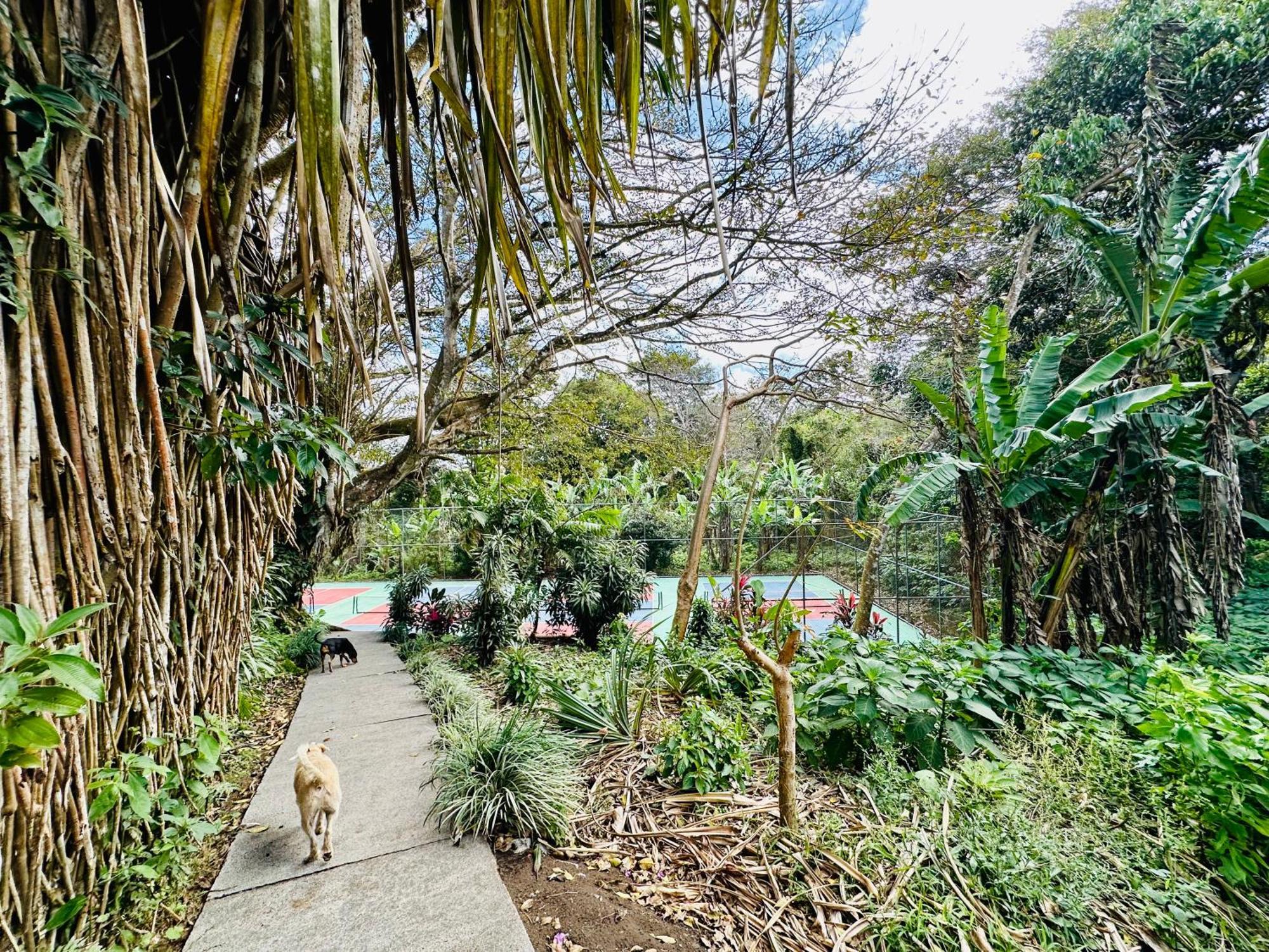 Lake Arenal Brewery & Hotel Tilaran Exterior photo